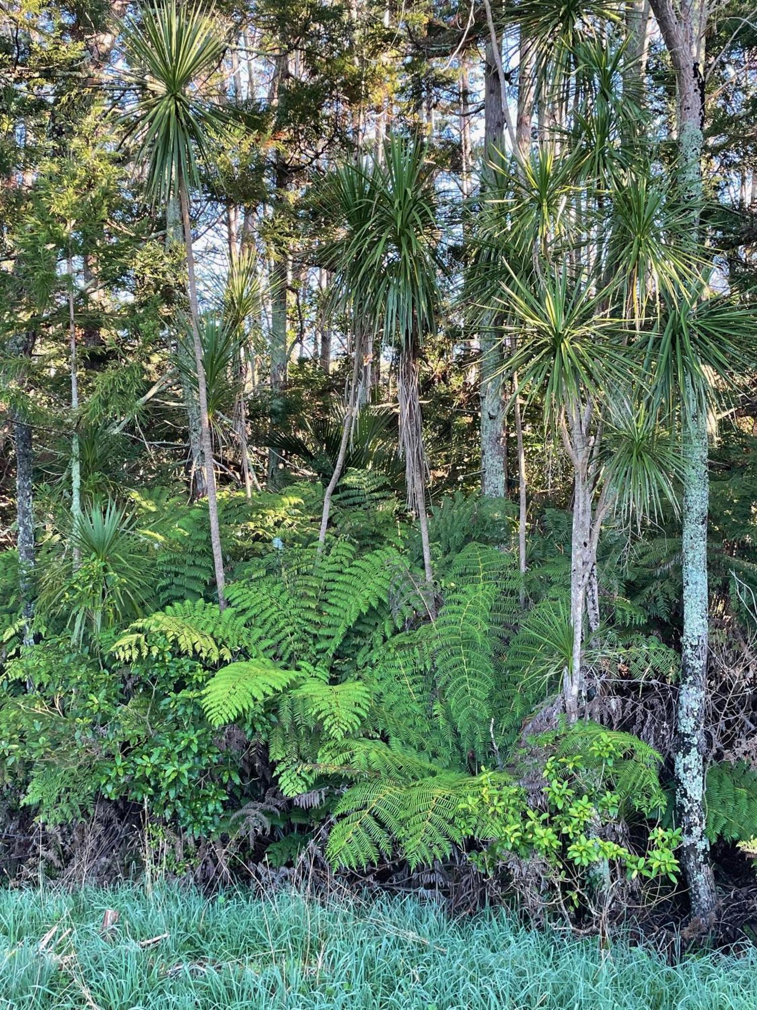 Tauhou Matakana Exterior foto